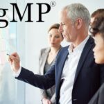 PMI PgMP (Program Management Professional)