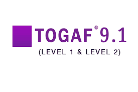 Togaf 9.1(Level 1 and Level 2)