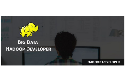 Big Data Hadoop & Developer